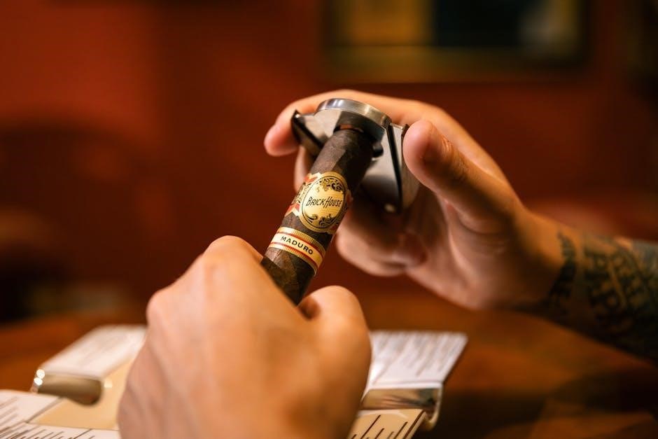 cigar guide